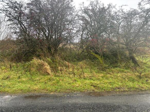 Trees @ Cottage Site