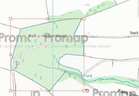 WOOD PLAN 24.8.23.jpg