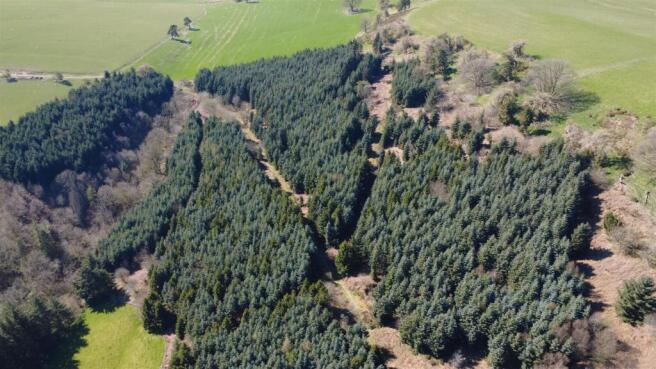 dji_fly_20250406_143614_510_1743946622651_photo_op