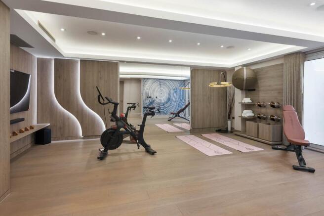 Media Room/Gym