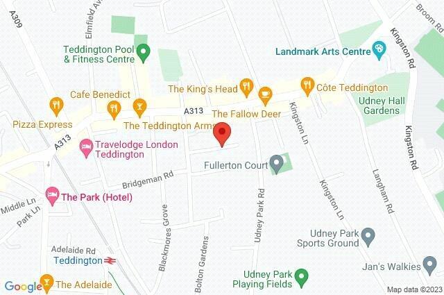 Google Maps Image