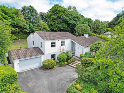 Treseders Gardens, Truro, Cornwall