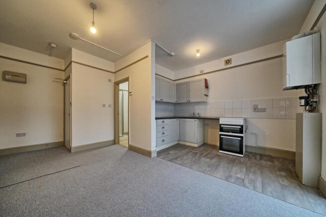 Living Area / Kitchen