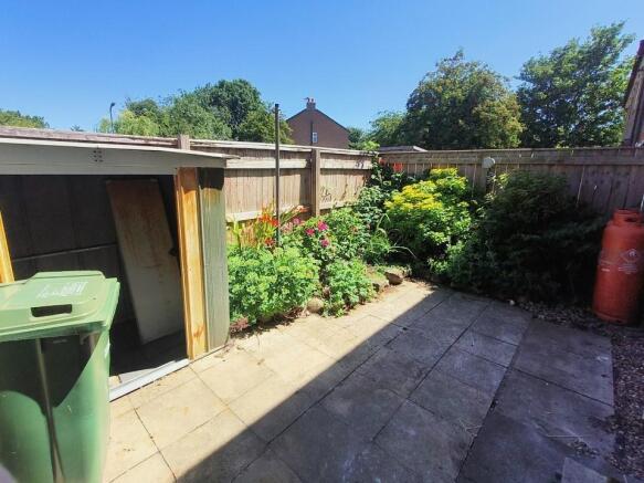 back yard.jpg