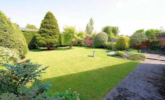 Beautiful garden