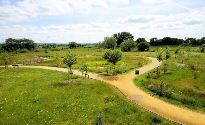 The view of The Meadow