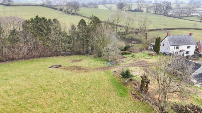 The Paddocks
