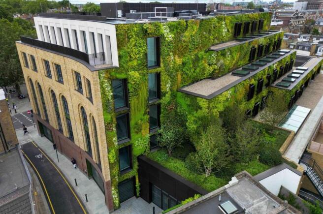 120 Kings Road - Vertical Garden