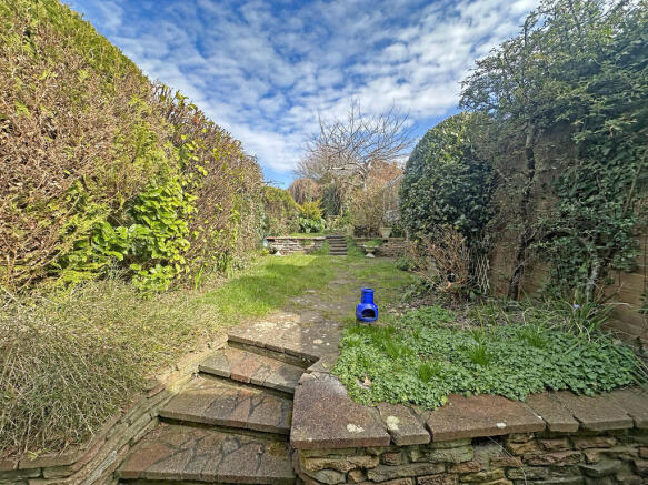 Garden (3)
