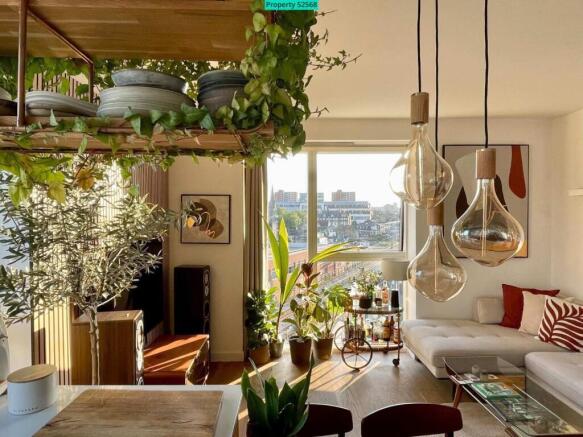 Living Room / Kitchen