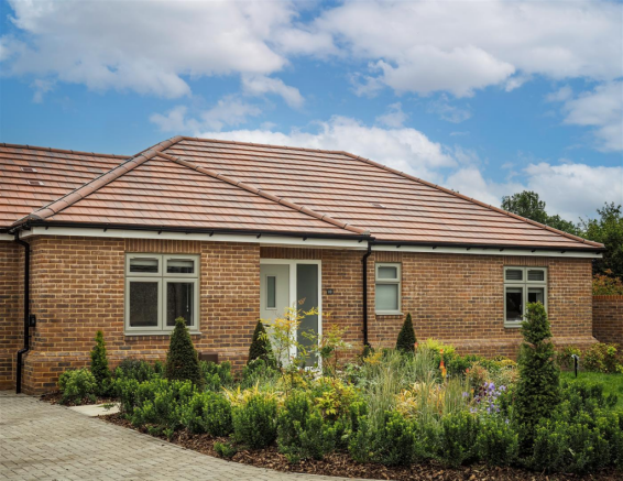 Plot 10