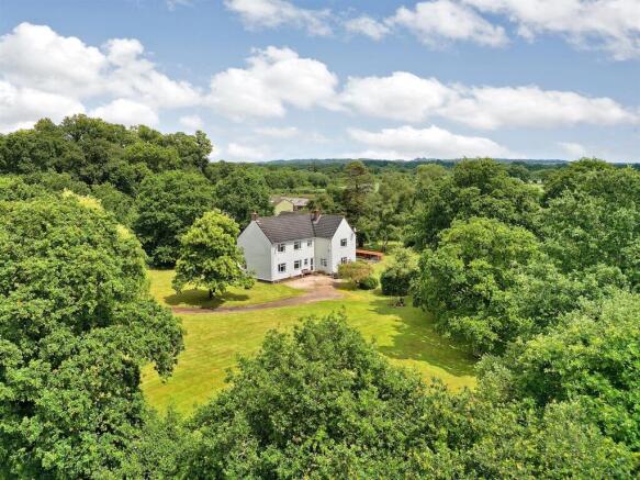 deer copse2025DEER COPSE (3)4.jpg