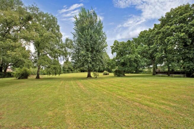 deer copse2025DEER COPSE (7)23.jpg