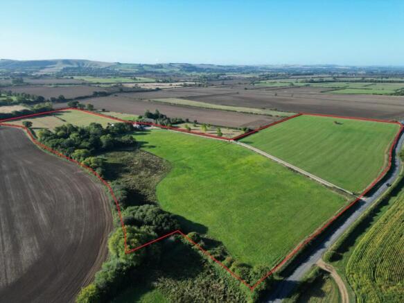 40 Acres.jpg