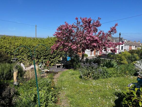Front garden (comm)