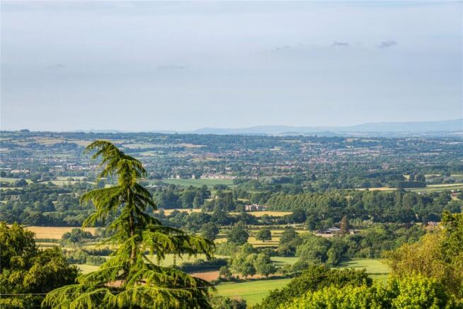 Panoramic Views