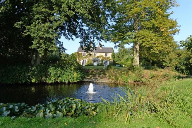 Pond