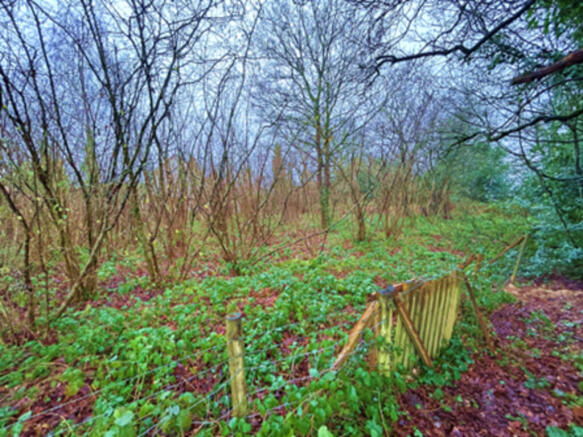 Web photo 1
