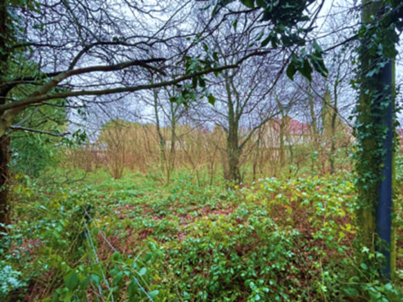 Web photo 2