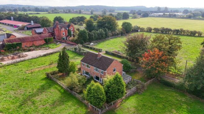 Rear view of Cott...