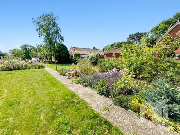 IMG_387258_19_lar...