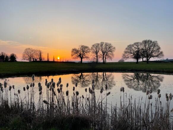 Lake Sunset