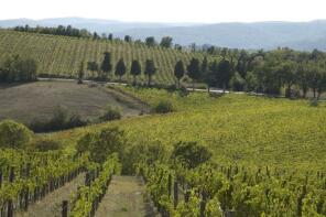 Photo of Agricultural Farming Business, Siena, Tuscany