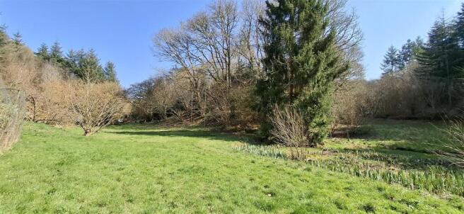 GROUNDS AND WOODLAND