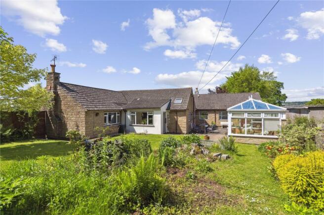 Back Garden