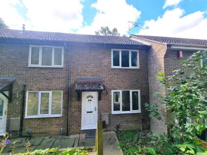 Acer Grove, Ipswich, IP8