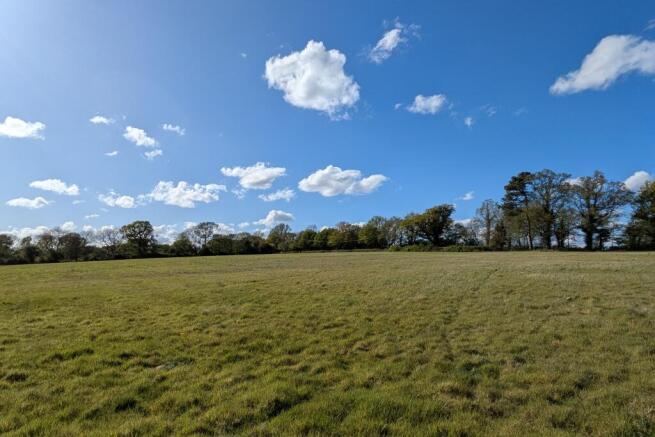 Field