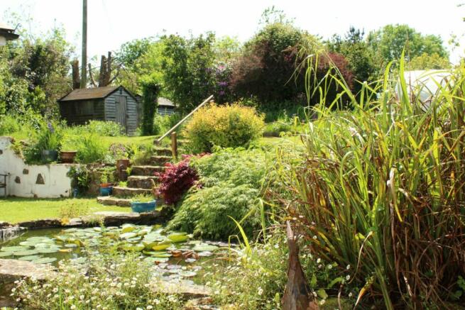 Pond & Garden