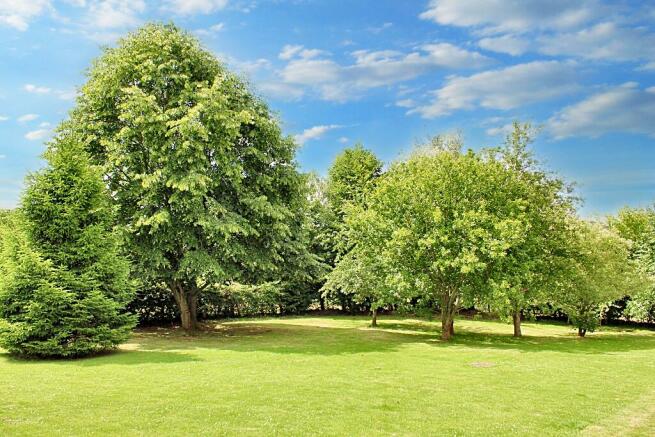 Lawn Garden