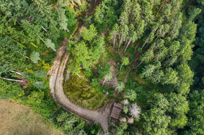 Woods Nr. Stoodleigh