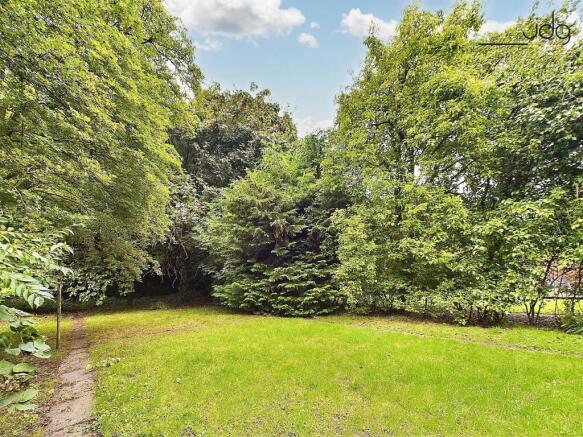 Back Garden
