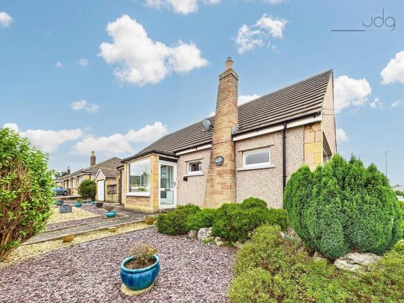 Welcome to Ashfield Avenue