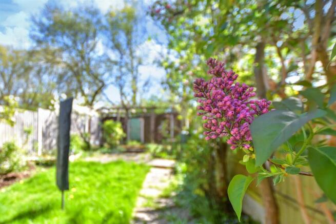 External Lifestyle Photograph
