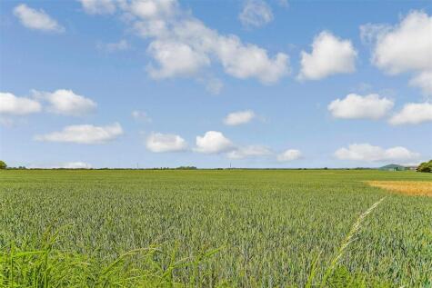 Cockreed Lane, New Romney, Kent