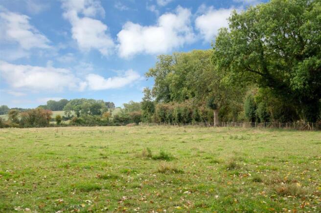 4. Photo for page 3.jpg