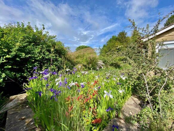 A view of the Garden