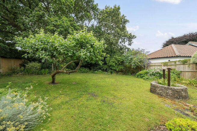 Garden with well