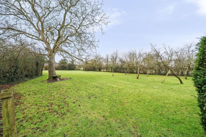 Orchard