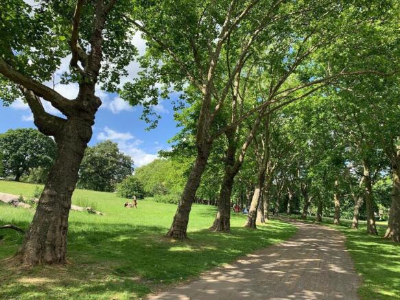 Gladstone Park parklands