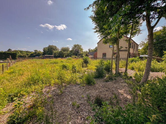 20250616_144251794_iOS_edited