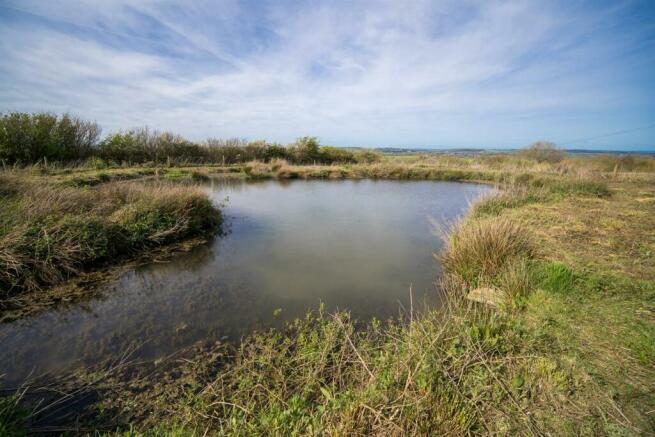 Large Pond