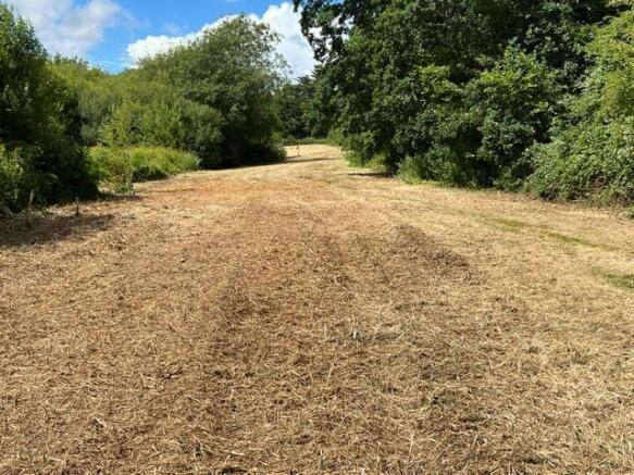 Bottom Field 6.JPG