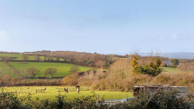 Local Views from Garden