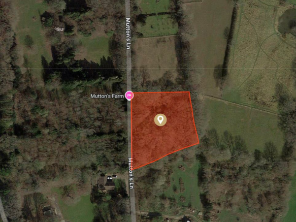 Site