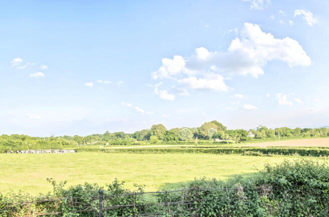 1291142-55-6825d6...