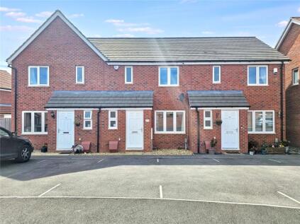 Deacon Orchard, Langport, Somerset, TA10